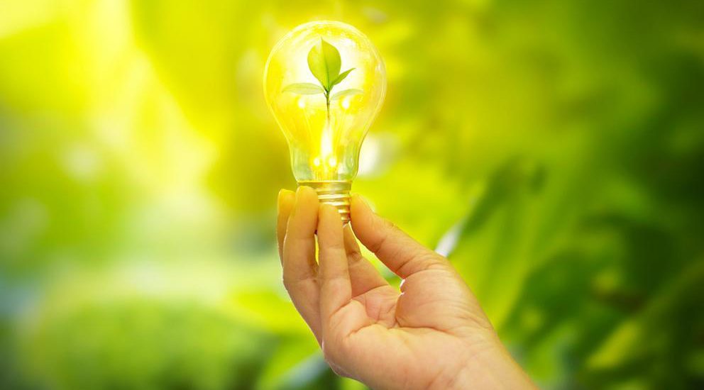 Lámpara: energía generada por plantas