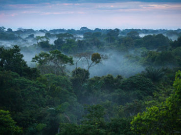 Deforestación en Brasil aumenta un 67% hasta julio, Gobierno critica los datos
