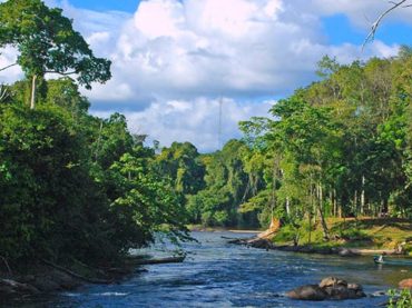 Surinam, un paraíso natural desconocido