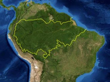 Destrucción del Amazonas: las principales amenazas para la mayor selva tropical del mundo en los 9 países que la comparten