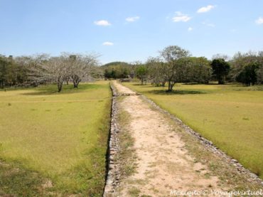 Cómo era “el camino blanco”, la gran autopista maya de 100 km cuyos detalles se revelaron gracias a la tecnología digital