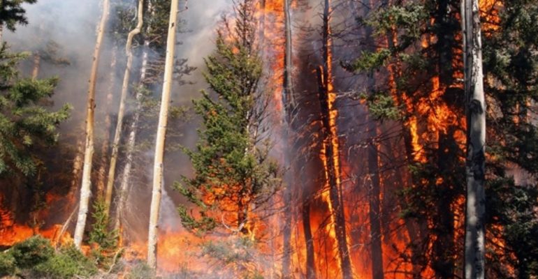 La pandemia nos enseña cómo enfrentar el cambio climático