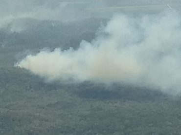 A partir de hoy se suspenden las quemas agropecuarias en Quintana Roo