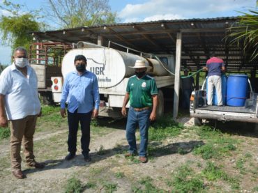 Entregarán 200 toneladas de melaza a ganaderos