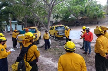 11 incendios forestales activos, de esos 3 se consideran como prioritarios