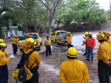 11 incendios forestales activos, de esos 3 se consideran como prioritarios