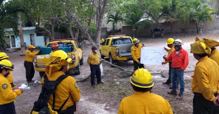 11 incendios forestales activos, de esos 3 se consideran como prioritarios