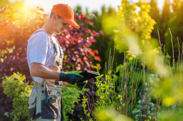 La jardinería crece en todo el mundo por confinamiento durante coronavirus