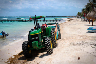 Se activan en Puerto Morelos acciones para mantener las playas libres de sargazo