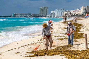 Plan contra sargazo permite contar con playas limpias en Cancún