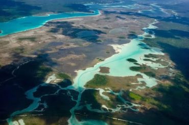 Quintana Roo impulsa la protección del Medio Ambiente