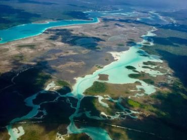 Quintana Roo impulsa la protección del Medio Ambiente