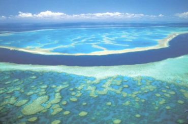 Día Mundial de los Océanos: si queremos peces gordos, hay que salvar los mares