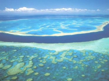 Día Mundial de los Océanos: si queremos peces gordos, hay que salvar los mares