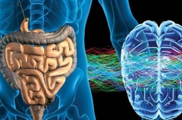 Por qué lo llaman “el segundo cerebro” y otros 6 datos sorprendentes sobre el intestino