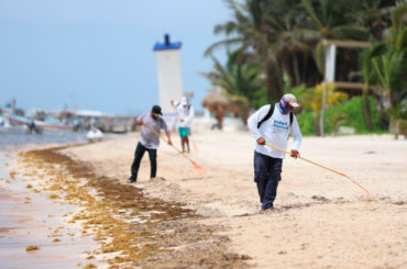 Playas de Puerto Morelos lucen buena imagen