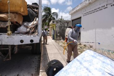 Se refuerzan acciones contra el dengue, zika y chikungunya