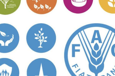 Apoyo debe enfocarse a pobres y no a los grandes empresarios: FAO México