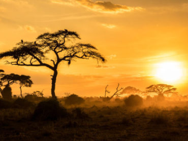 A pesar del sol intenso, África sufre la carencia de vitamina D