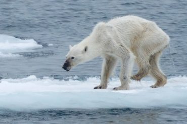 Covid y crisis climática en el turismo: ¿Una cuestión de percepción?