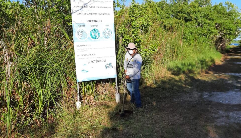 Reactivan Comités de Guardianes Comunitarios en Quintana Roo