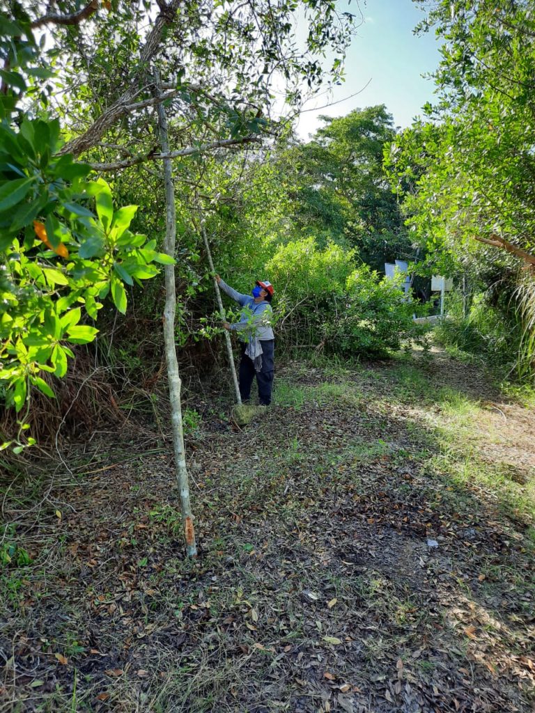 Comités de Guardianes Comunitarios en todo el estado de Quintana Roo