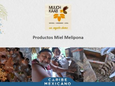 Proyecto de productos turísticos Mundo Maya Presente Quintana Roo