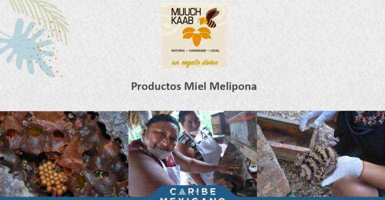 Proyecto de productos turísticos Mundo Maya Presente Quintana Roo