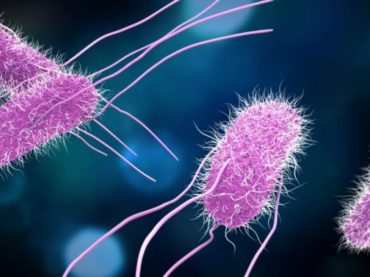 Problema grave, la resistencia bacteriana a los antibióticos