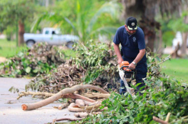 Se han retirado alrededor de 2,100 toneladas de material vegetal en Puerto Morelos: Laura Fernández