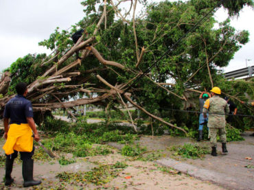Reporta Puerto Morelos saldo blanco luego del paso del huracán “Delta”