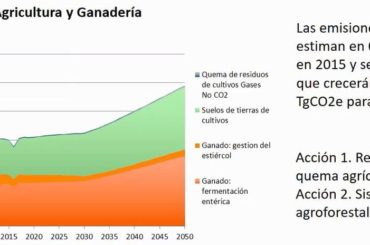 Quintana Roo trabaja para lograr bajas emisiones de carbono