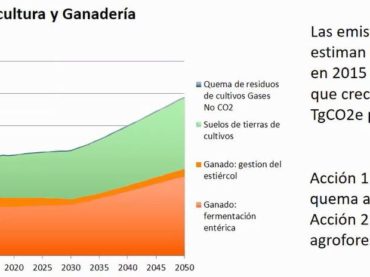 Quintana Roo trabaja para lograr bajas emisiones de carbono