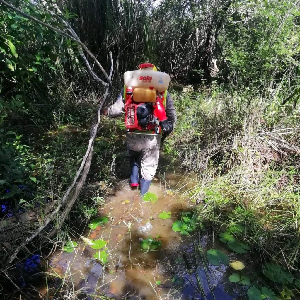 Semana Nacional en la Lucha Contra el Dengue