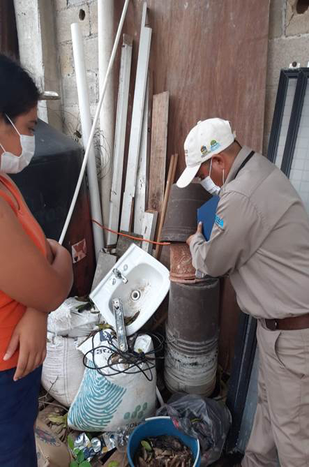 Nebulizan Quintana Roo contra el dengue, zika y chikungunya
