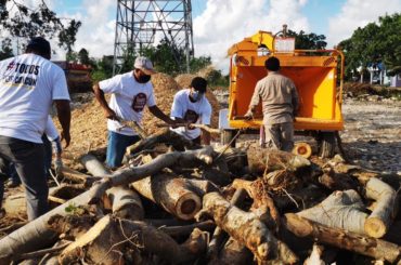 Se habilita centro de acopio para basura vegetal