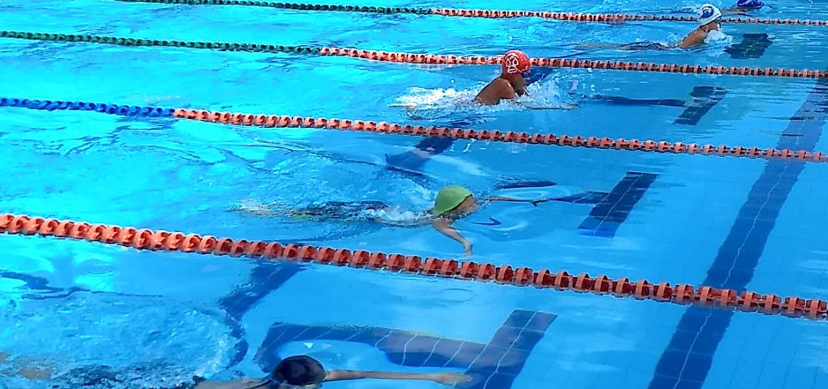 Primer circuito de natación virtual