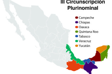 ¿Joaquinismo perderá control del Teqroo?