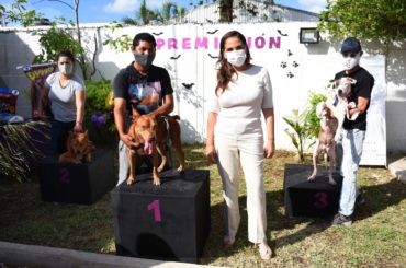 Promueven cuidado responsable de mascotas en Cancún