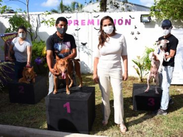 Promueven cuidado responsable de mascotas en Cancún