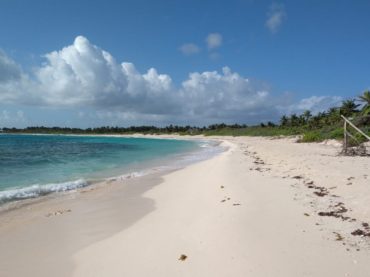 Quintana Roo fortalece operatividad de Áreas Naturales Protegidas