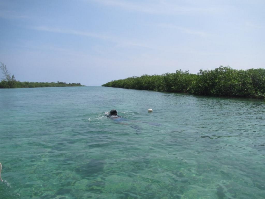 Quintana Roo en el Décimo Ejercicio de Conectividad del Sistema Arrecifal Mesoamericano