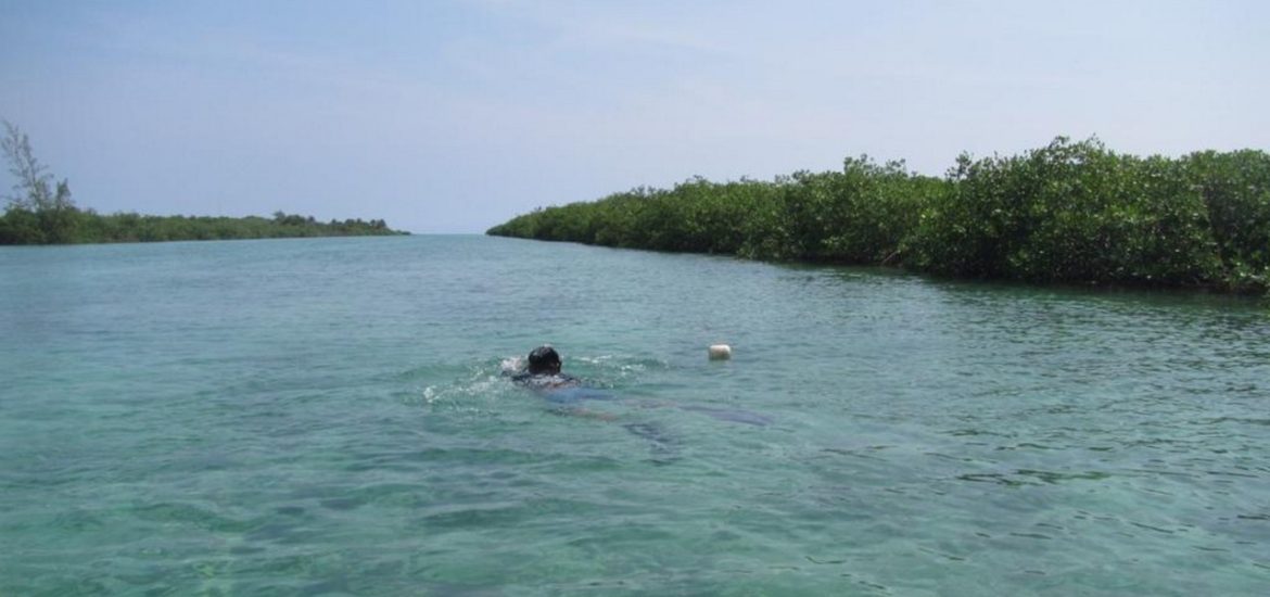 Quintana Roo en el Décimo Ejercicio de Conectividad del Sistema Arrecifal Mesoamericano