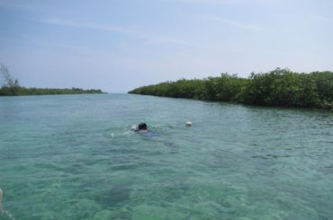 Quintana Roo en el Décimo Ejercicio de Conectividad del Sistema Arrecifal Mesoamericano