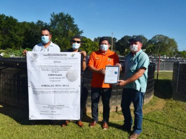 Productores de tilapia reciben Certificado de Sanidad e Inocuidad Acuícola
