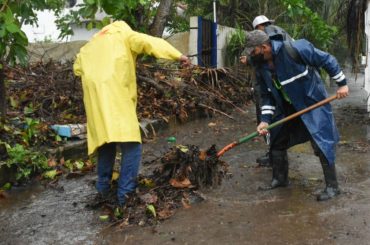 Brigadas de limpieza continúan a pie firme sus labores en Puerto Morelos