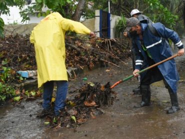 Brigadas de limpieza continúan a pie firme sus labores en Puerto Morelos