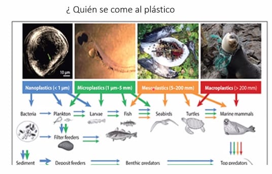 Es necesario reaprender a vivir sin plásticos de un solo uso