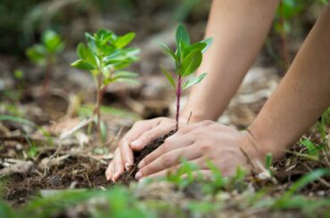 La recuperación sostenible de la crisis en América Latina en el centro del Foro de Ministros de Medio Ambiente