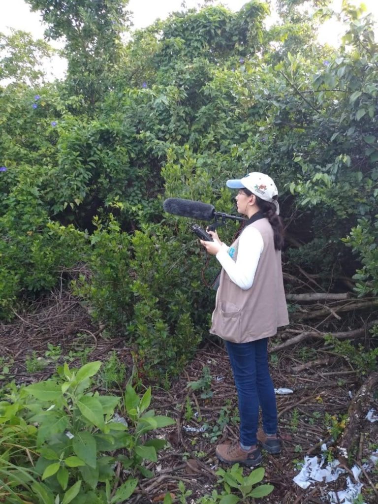 Cozumel usa tecnología para que la comunidad conozca las aves de la isla